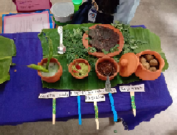 Traditional Food Festival